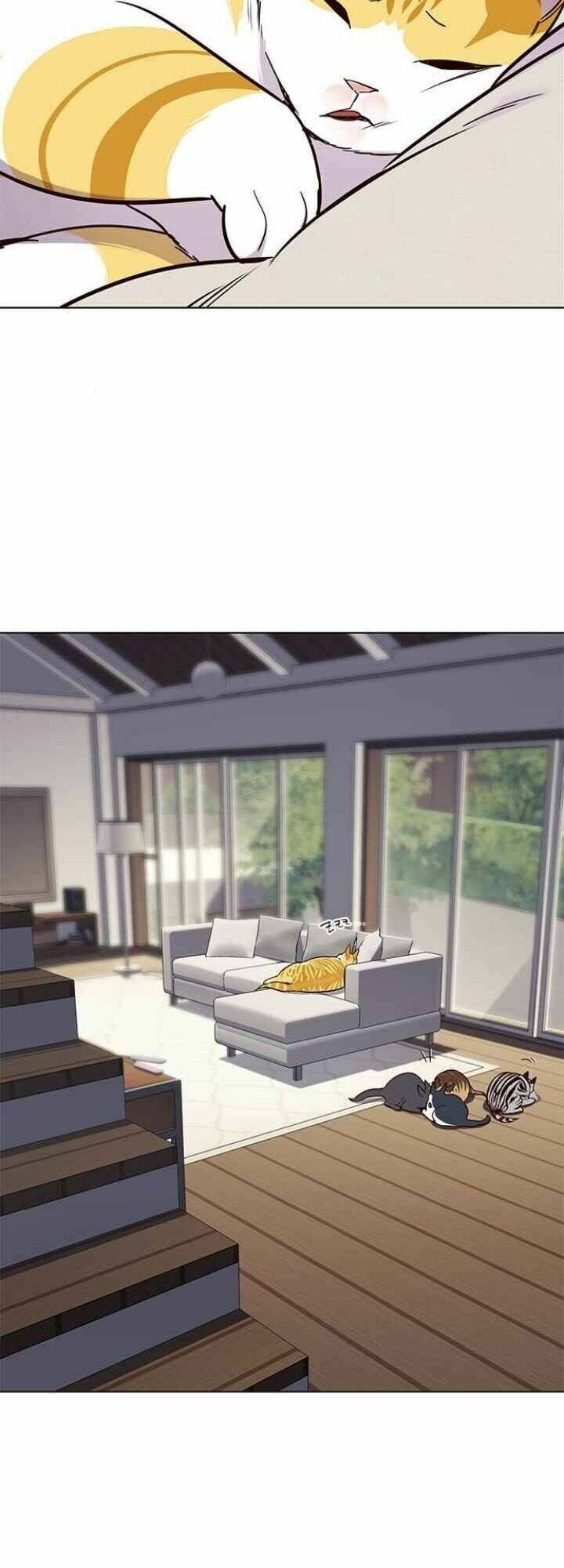 Hoá Thân Thành Mèo Chap 101 - Next Chap 102