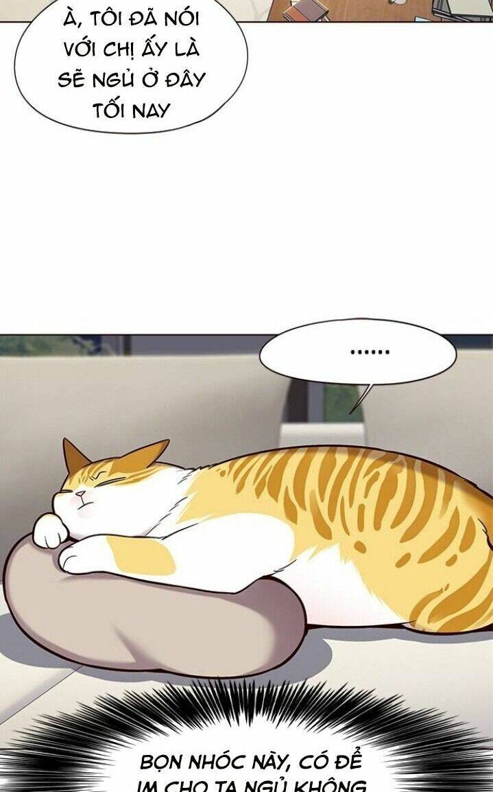 Hoá Thân Thành Mèo Chap 102 - Next Chap 103