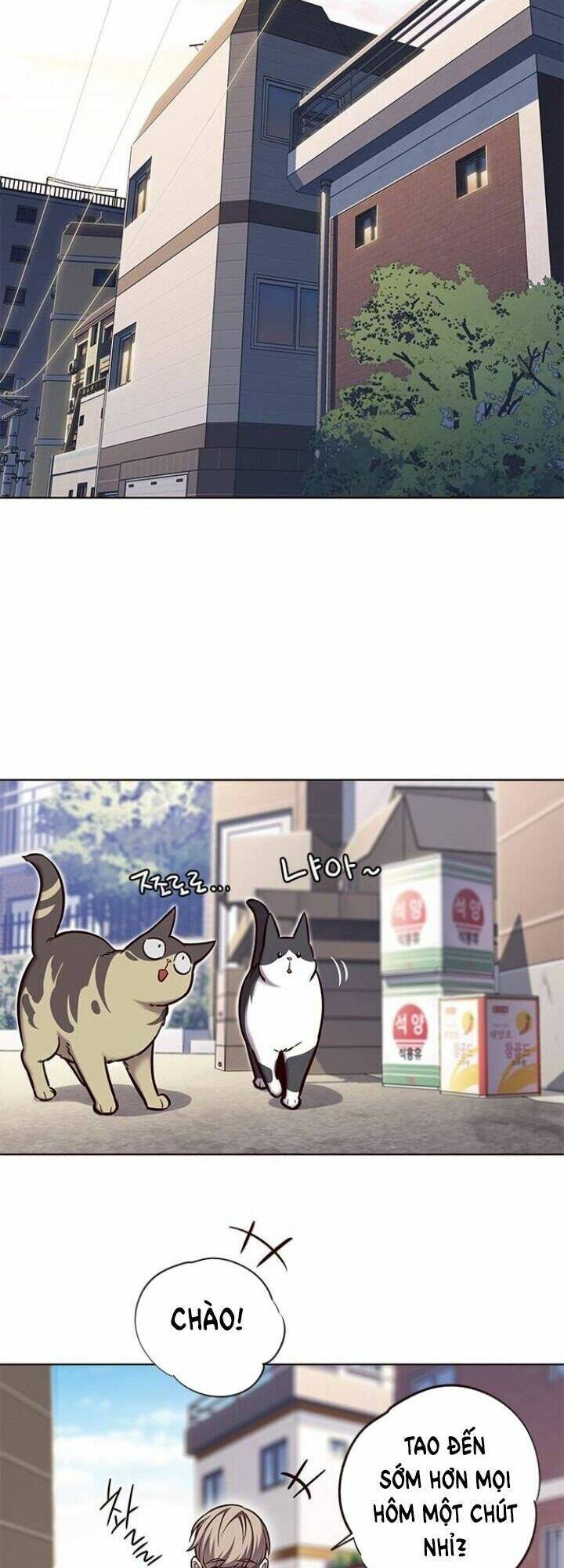 Hoá Thân Thành Mèo Chap 117 - Next Chap 118