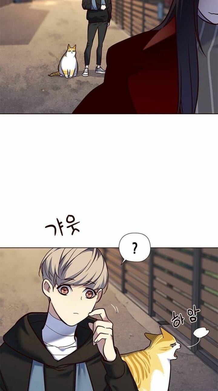 Hoá Thân Thành Mèo Chap 115 - Next Chap 116