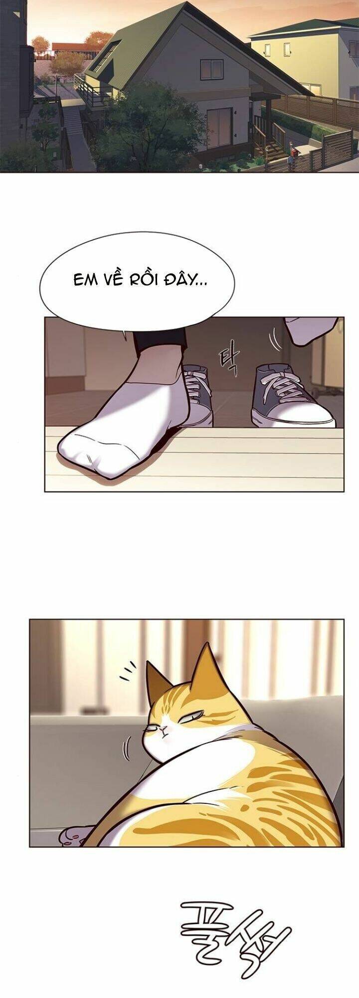 Hoá Thân Thành Mèo Chap 118 - Next Chap 119
