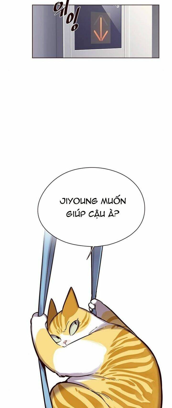 Hoá Thân Thành Mèo Chap 118 - Next Chap 119