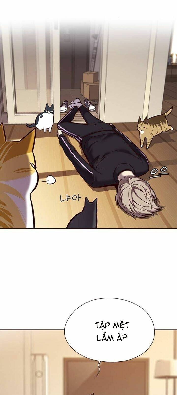 Hoá Thân Thành Mèo Chap 118 - Next Chap 119