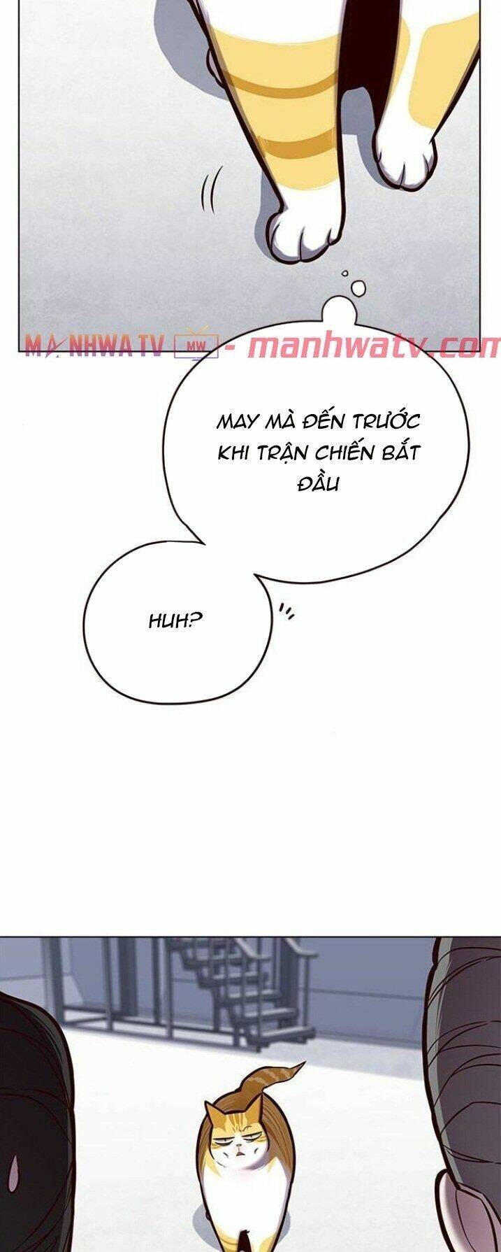 Hoá Thân Thành Mèo Chap 119 - Next Chap 120