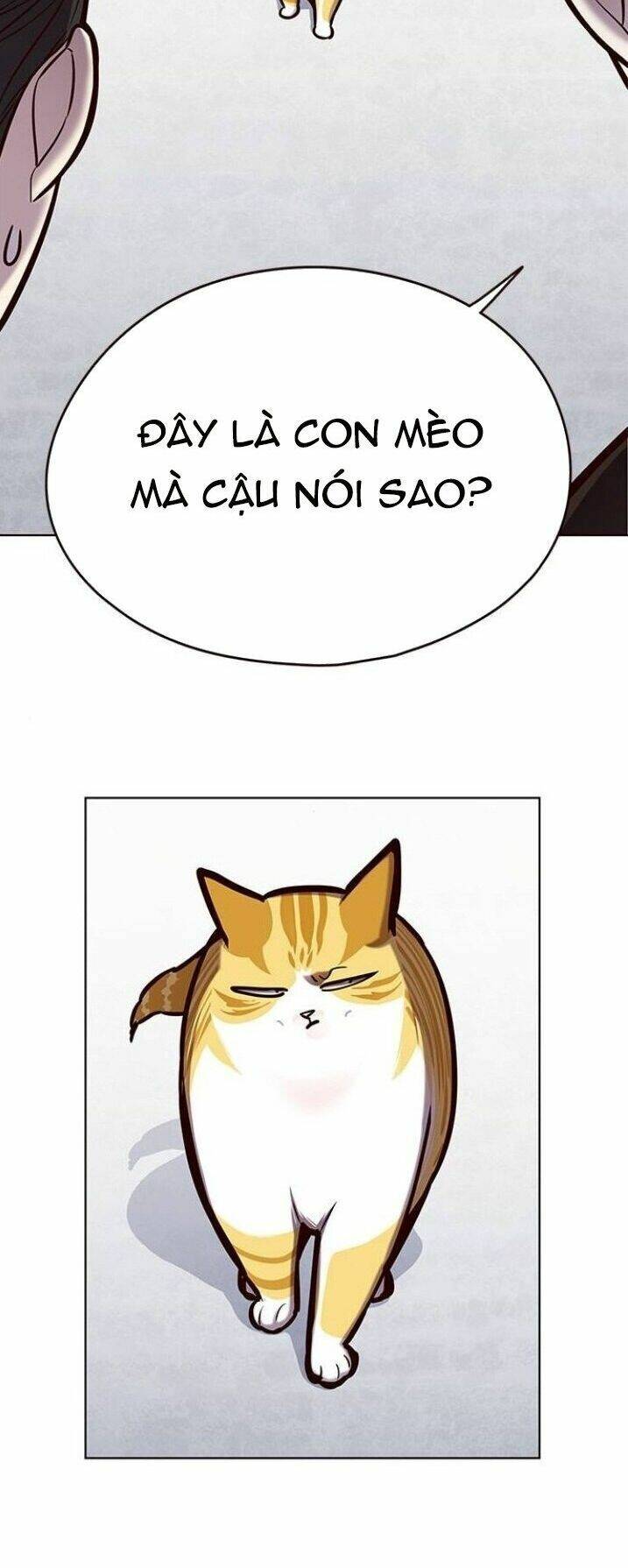 Hoá Thân Thành Mèo Chap 119 - Next Chap 120