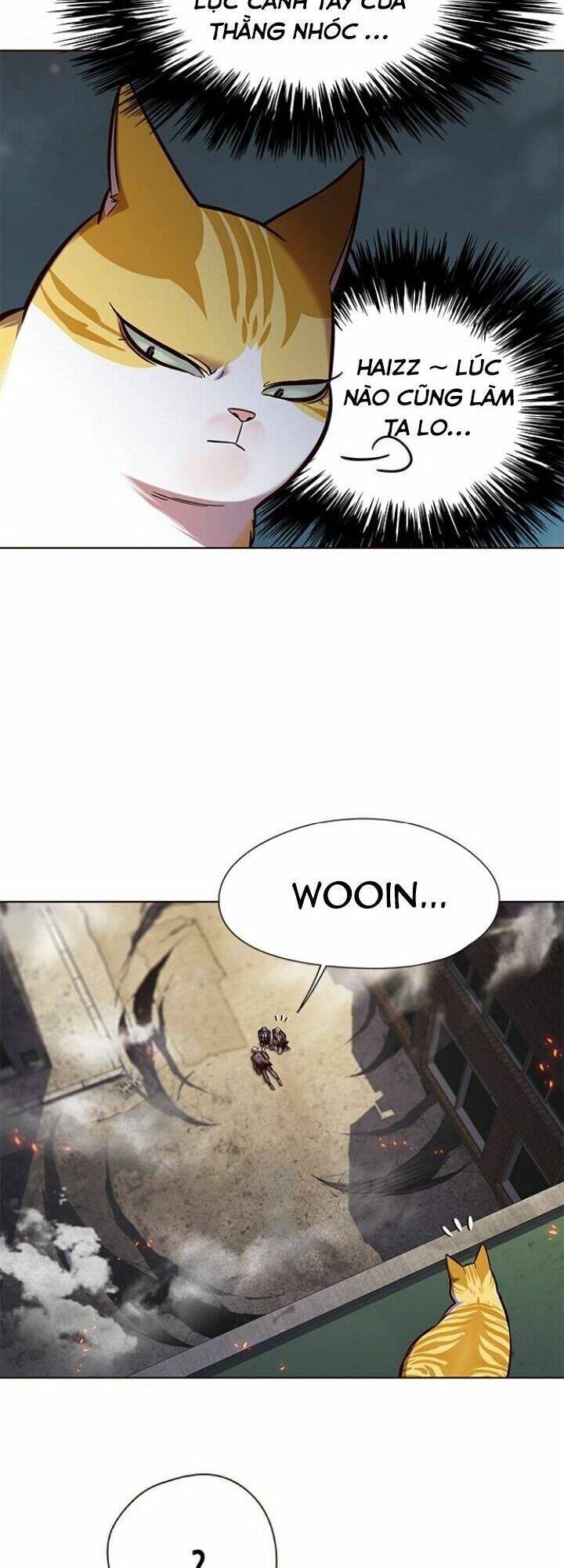 Hoá Thân Thành Mèo Chap 111 - Next Chap 112