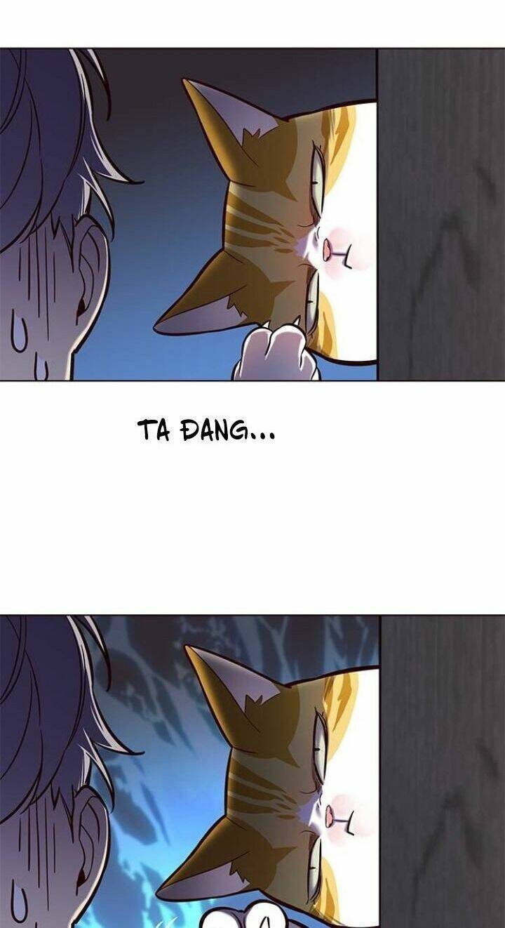 Hoá Thân Thành Mèo Chap 112 - Next Chap 113