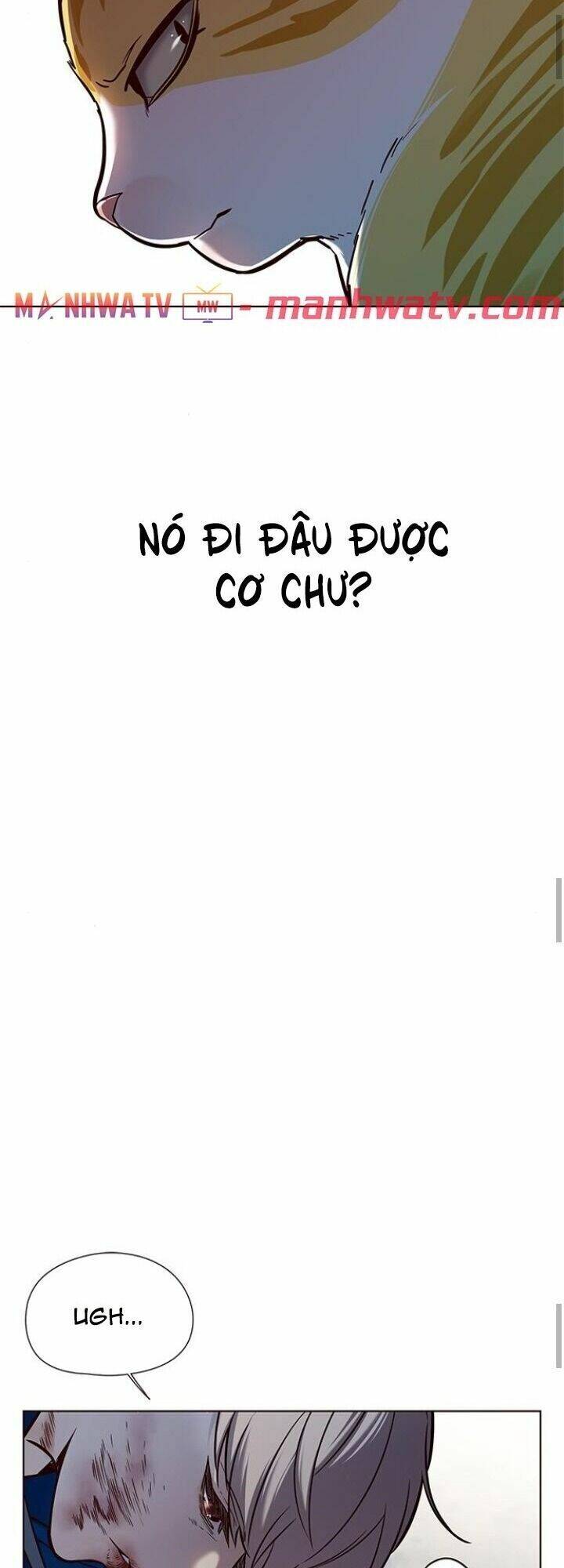 Hoá Thân Thành Mèo Chap 125 - Next Chap 126