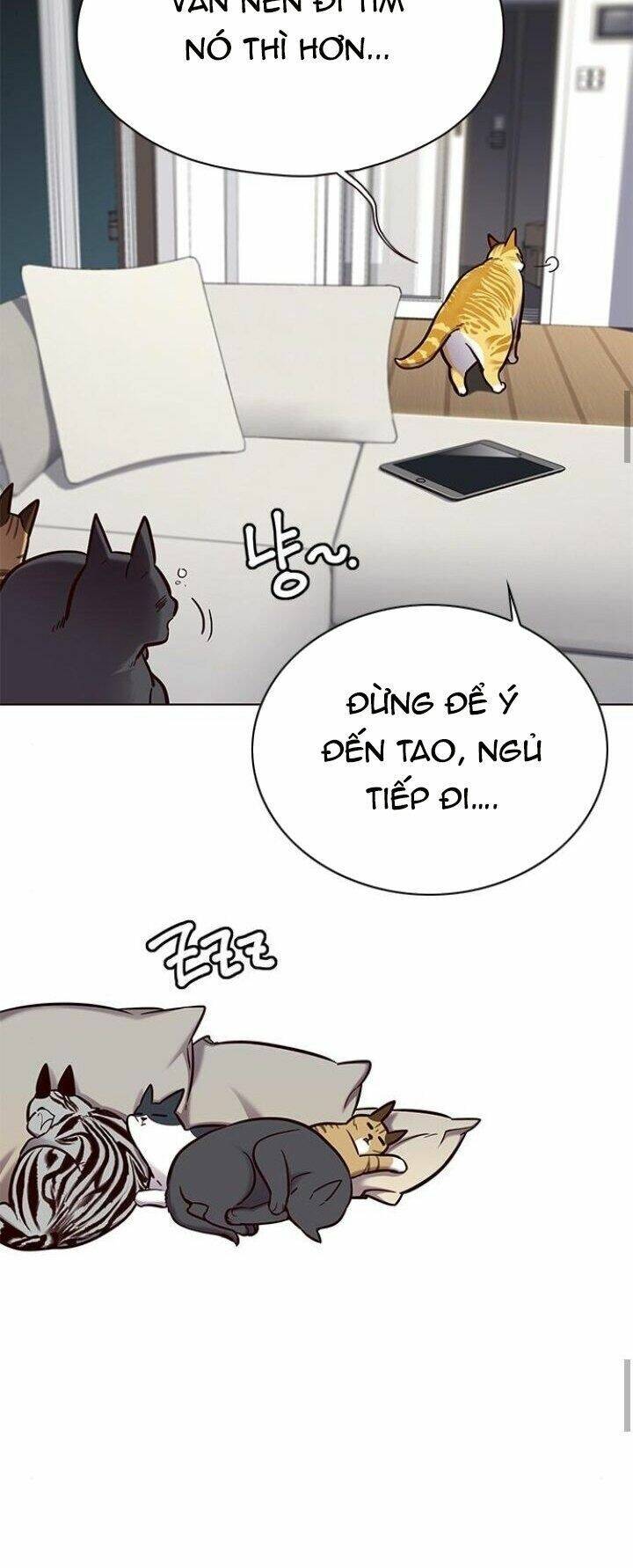 Hoá Thân Thành Mèo Chap 125 - Next Chap 126