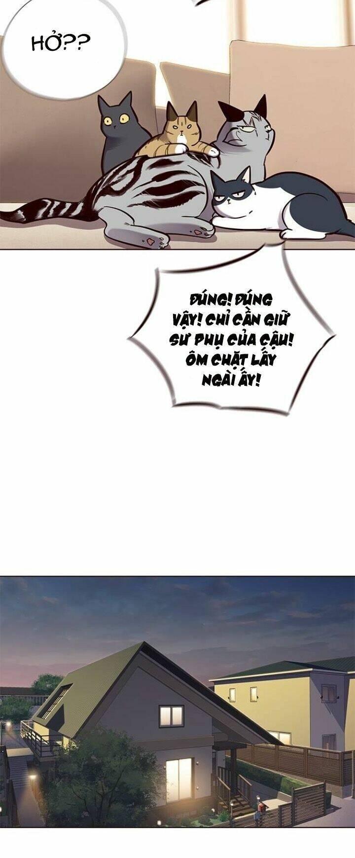 Hoá Thân Thành Mèo Chap 123 - Next Chap 124