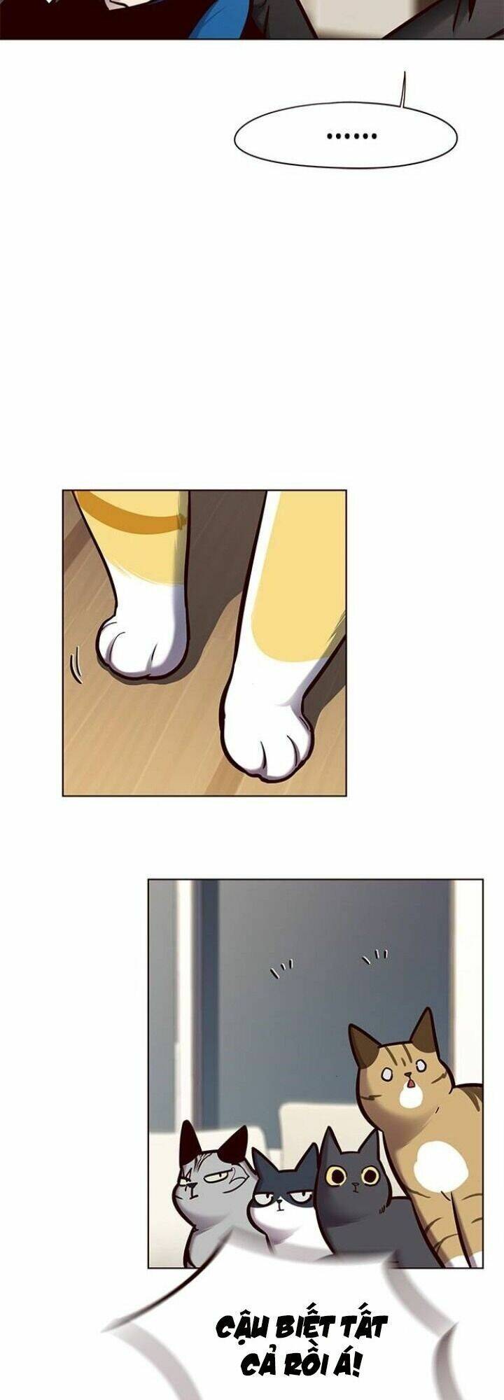 Hoá Thân Thành Mèo Chap 123 - Next Chap 124