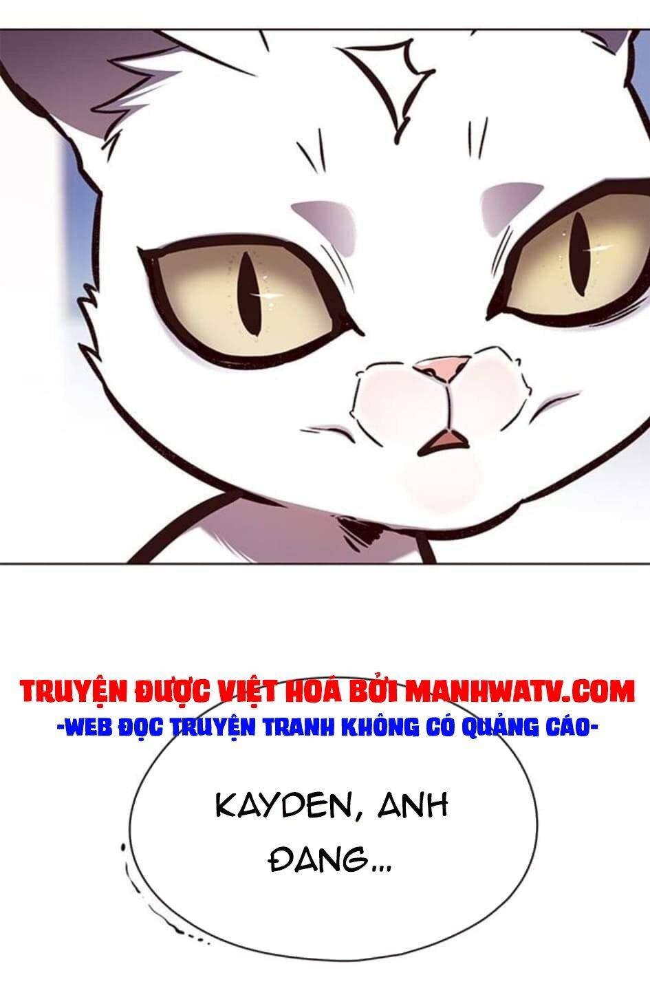 Hoá Thân Thành Mèo Chap 144 - Next Chap 145
