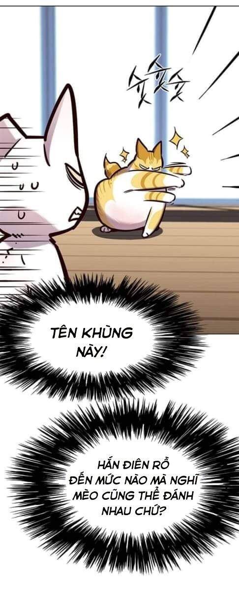 Hoá Thân Thành Mèo Chap 144 - Next Chap 145