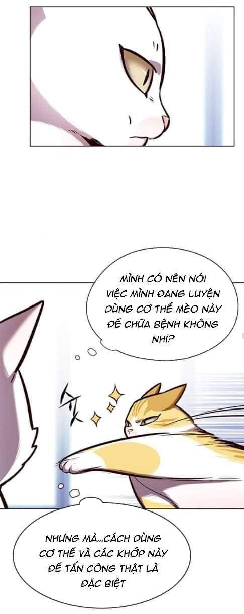 Hoá Thân Thành Mèo Chap 144 - Next Chap 145