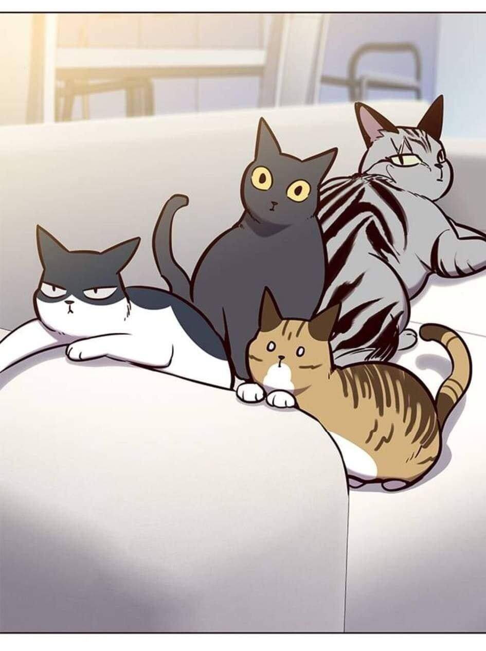 Hoá Thân Thành Mèo Chap 144 - Next Chap 145
