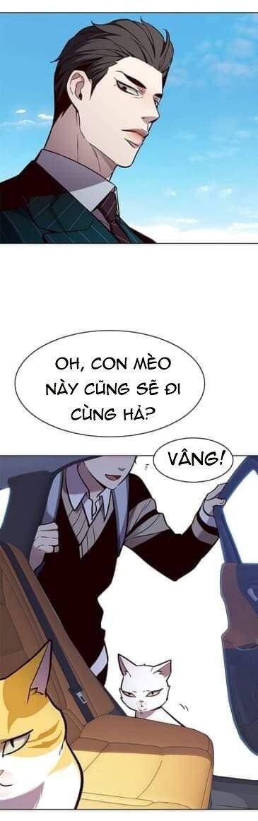 Hoá Thân Thành Mèo Chap 144 - Next Chap 145
