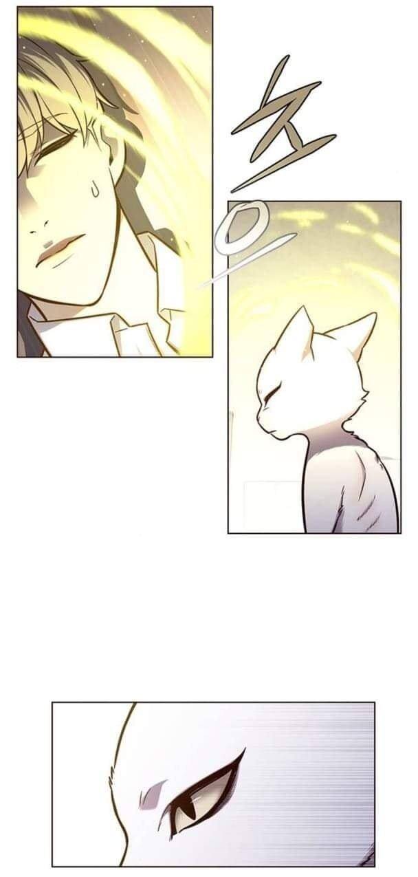 Hoá Thân Thành Mèo Chap 144 - Next Chap 145