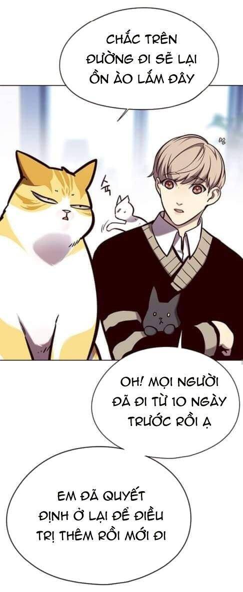 Hoá Thân Thành Mèo Chap 144 - Next Chap 145