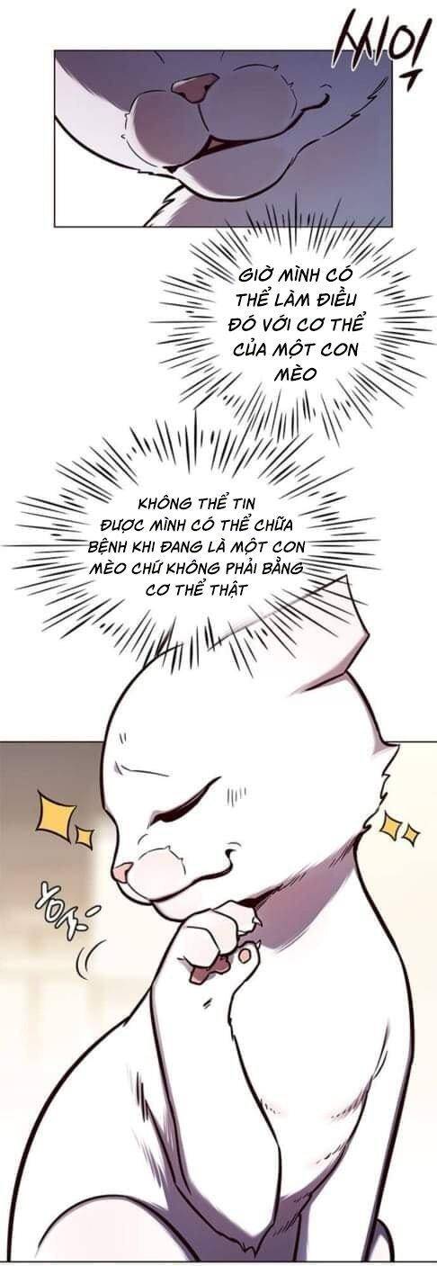 Hoá Thân Thành Mèo Chap 144 - Next Chap 145