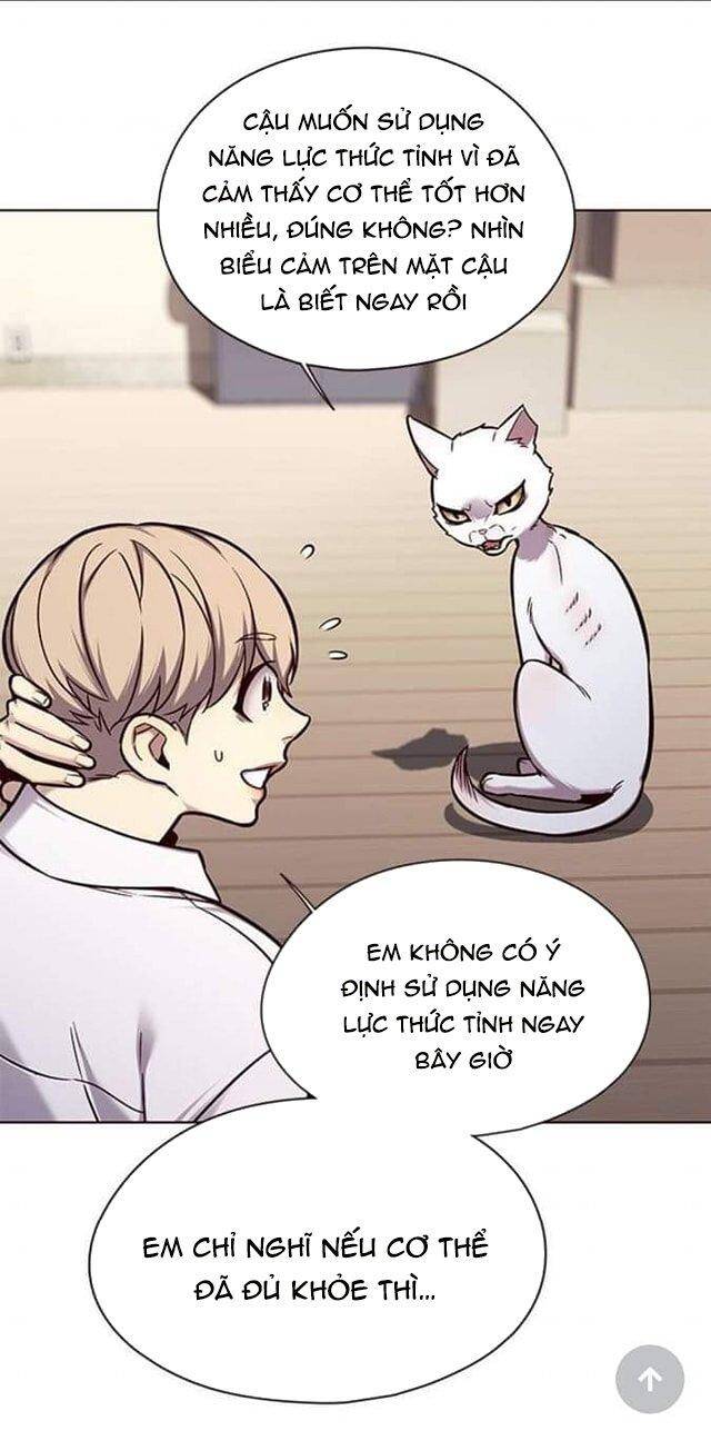 Hoá Thân Thành Mèo Chap 144 - Next Chap 145