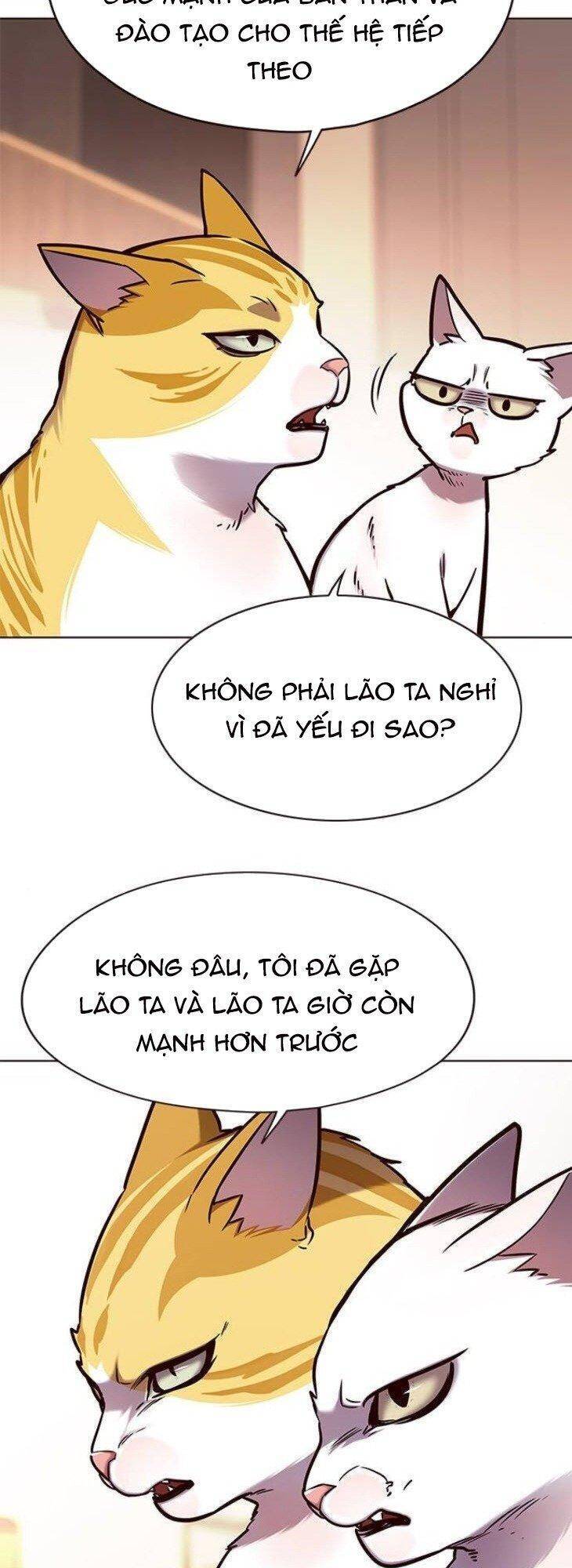 Hoá Thân Thành Mèo Chap 146 - Next Chap 147
