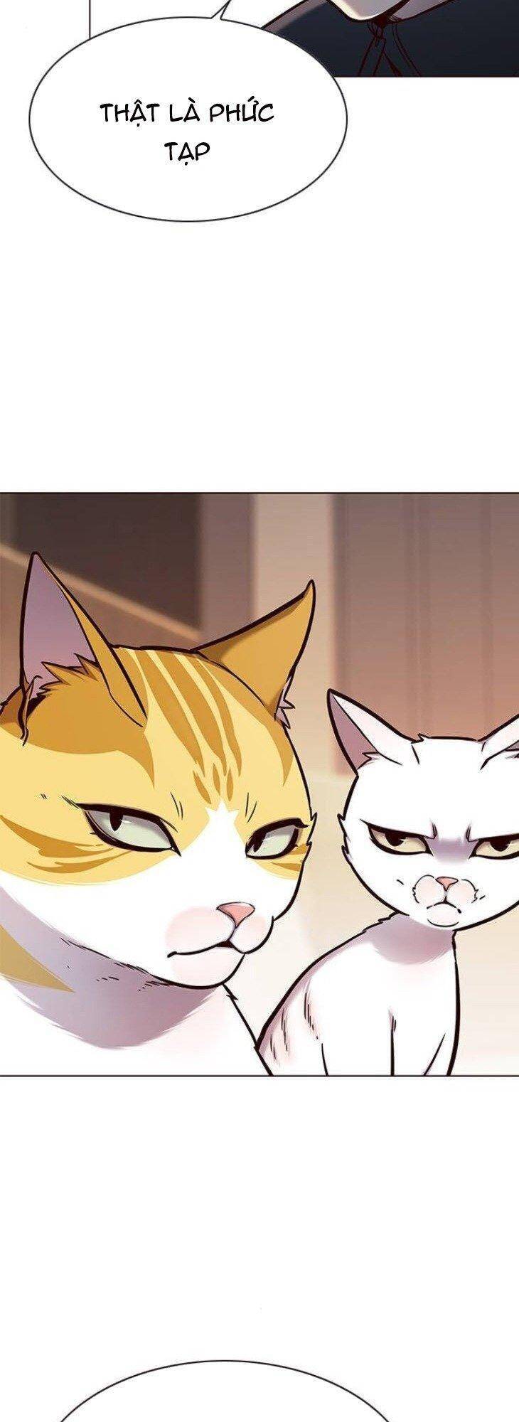 Hoá Thân Thành Mèo Chap 146 - Next Chap 147