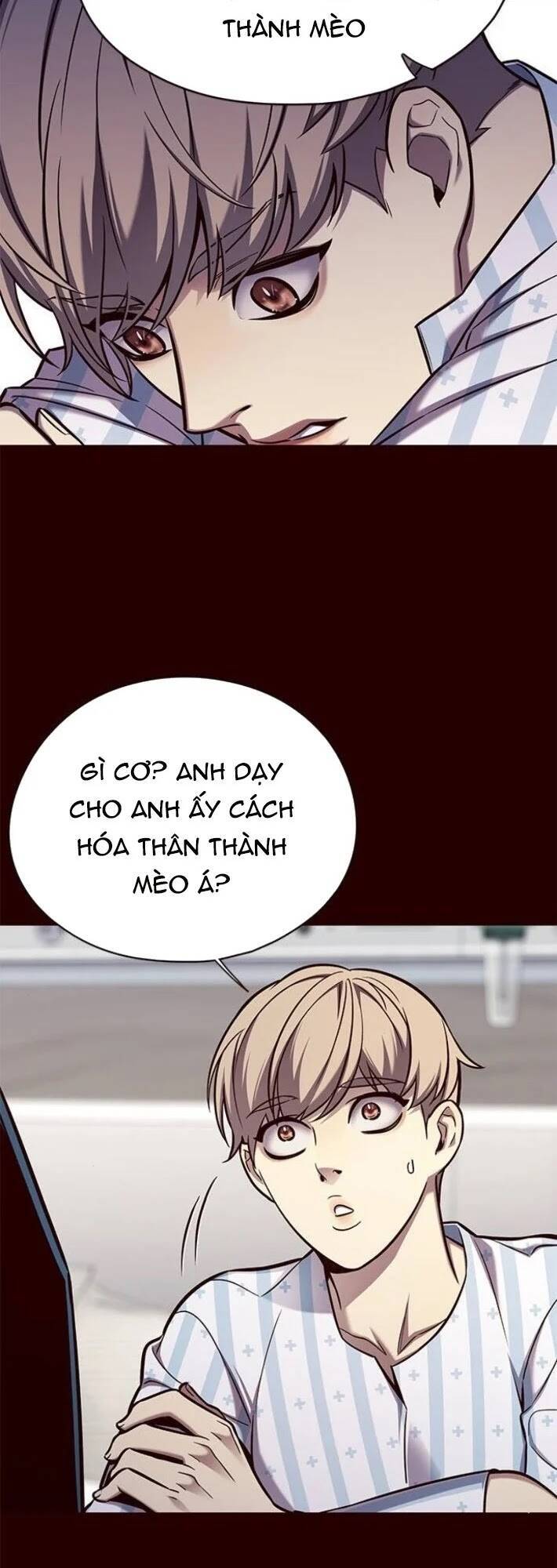 Hoá Thân Thành Mèo Chap 141 - Next Chap 142