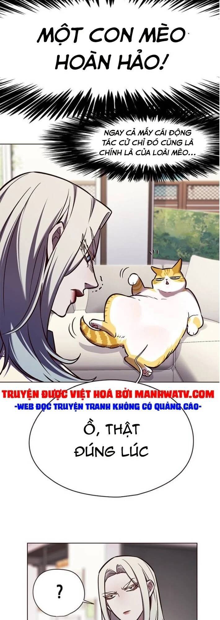 Hoá Thân Thành Mèo Chap 141 - Next Chap 142