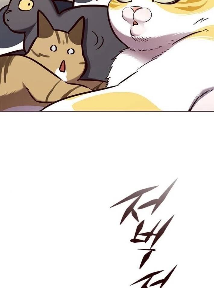 Hoá Thân Thành Mèo Chap 141 - Next Chap 142