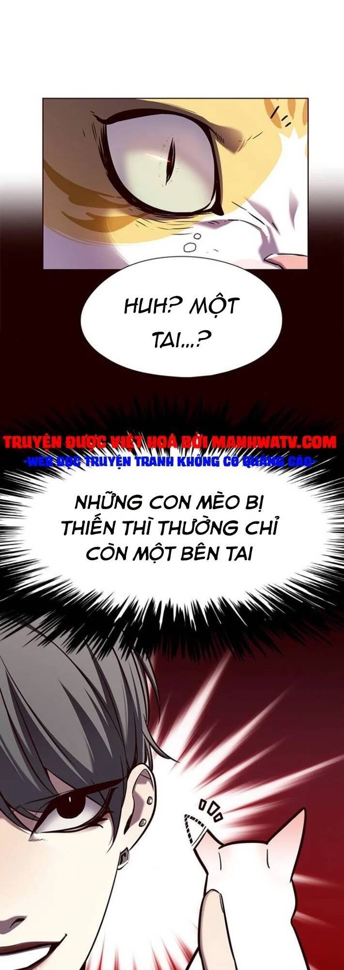 Hoá Thân Thành Mèo Chap 141 - Next Chap 142