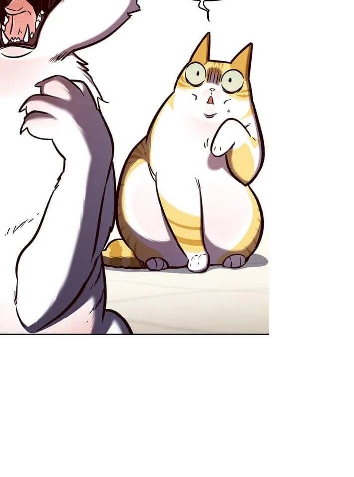 Hoá Thân Thành Mèo Chap 141 - Next Chap 142