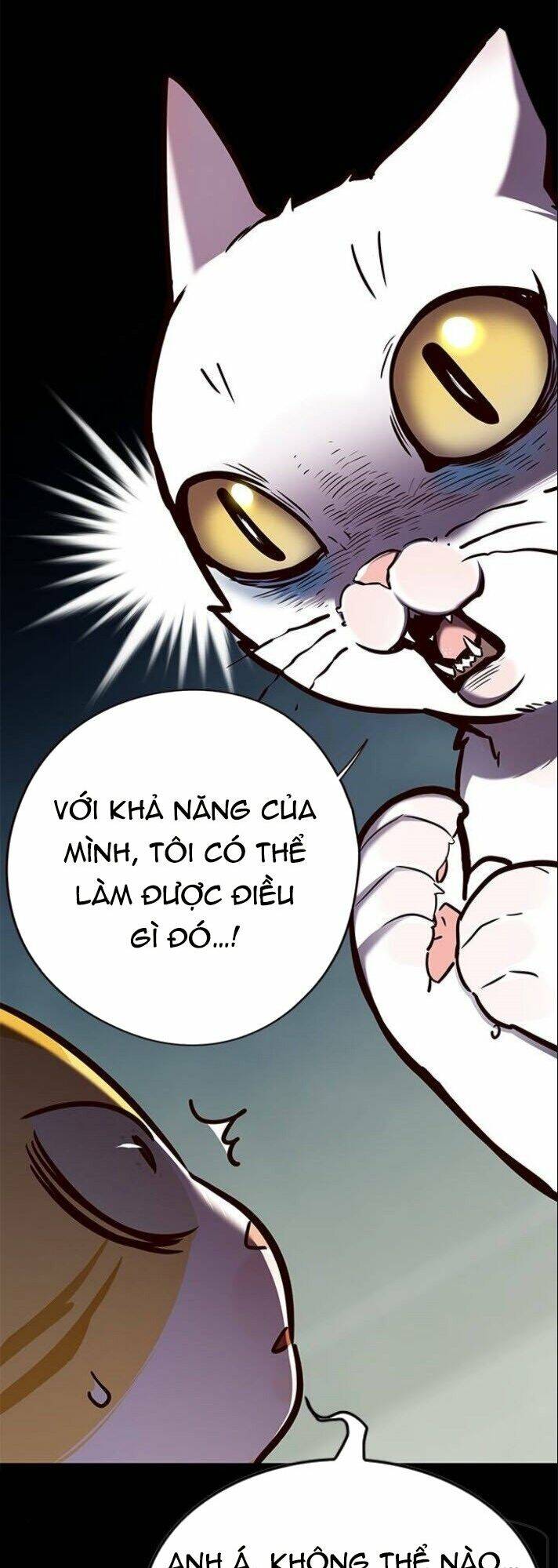 Hoá Thân Thành Mèo Chap 142 - Next Chap 143