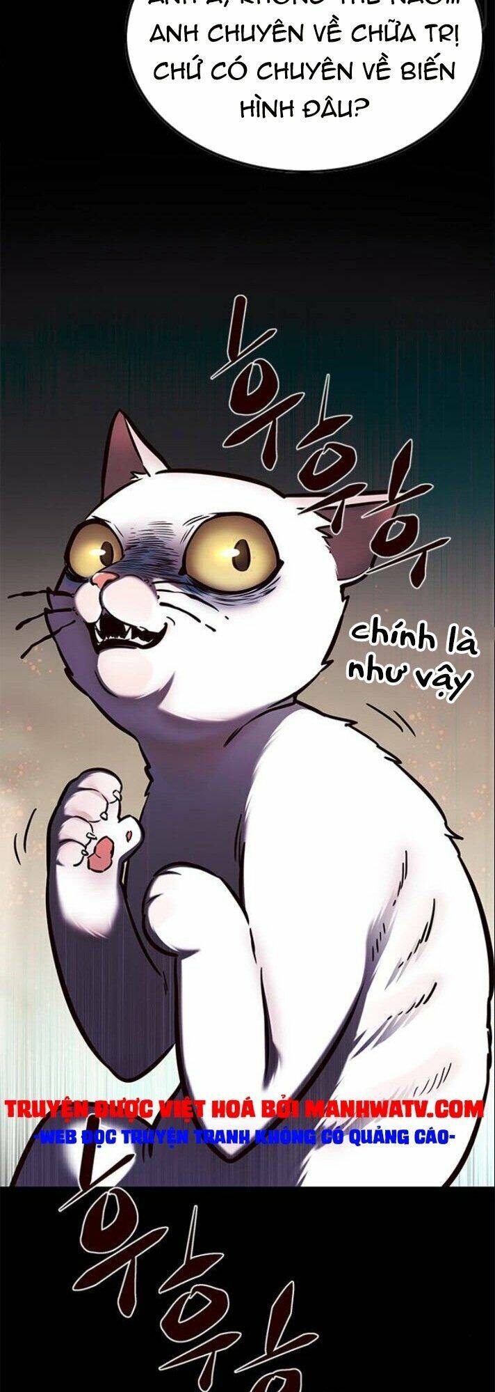 Hoá Thân Thành Mèo Chap 142 - Next Chap 143