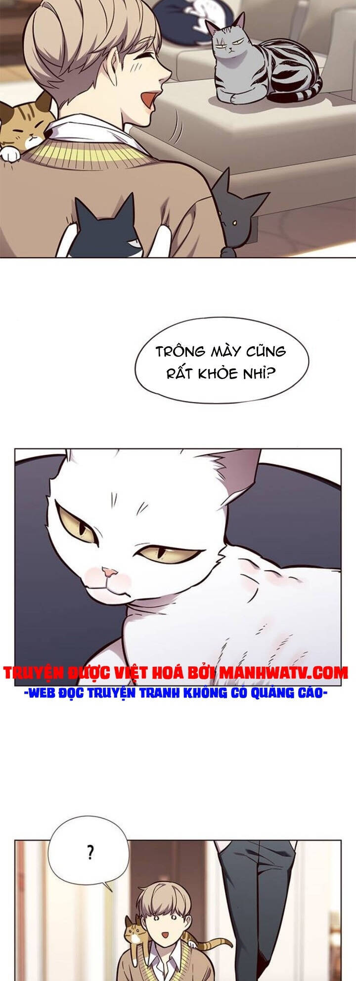 Hoá Thân Thành Mèo Chap 143 - Next Chap 144