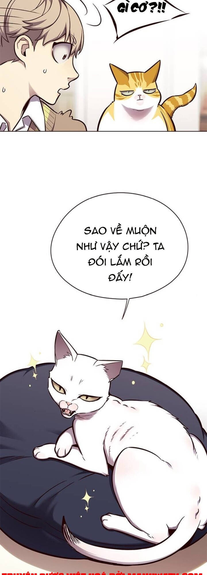 Hoá Thân Thành Mèo Chap 143 - Next Chap 144