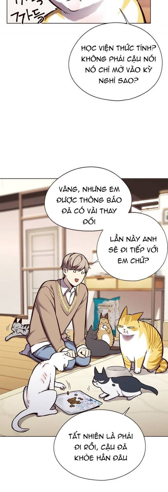 Hoá Thân Thành Mèo Chap 143 - Next Chap 144