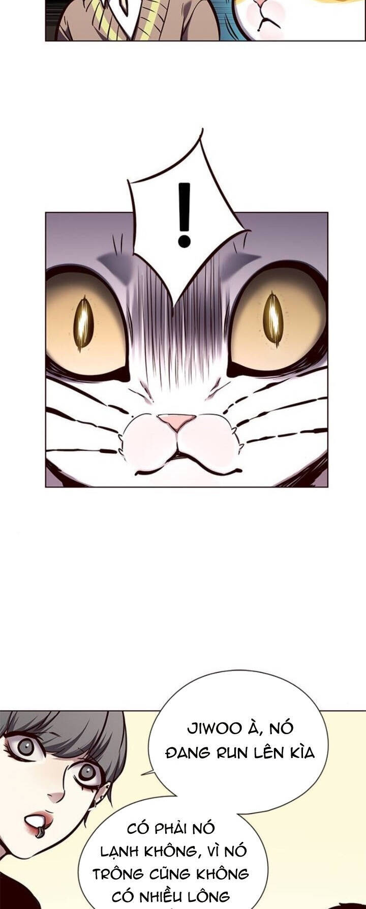 Hoá Thân Thành Mèo Chap 143 - Next Chap 144