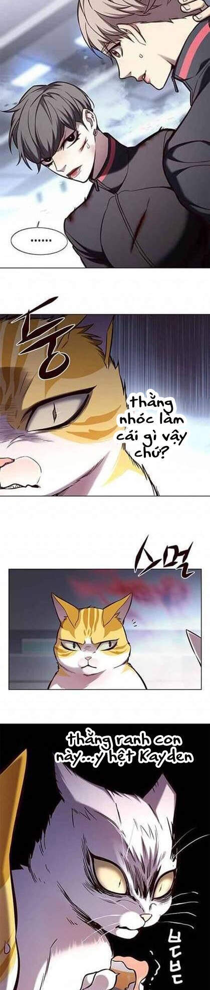 Hoá Thân Thành Mèo Chap 155 - Next Chap 156