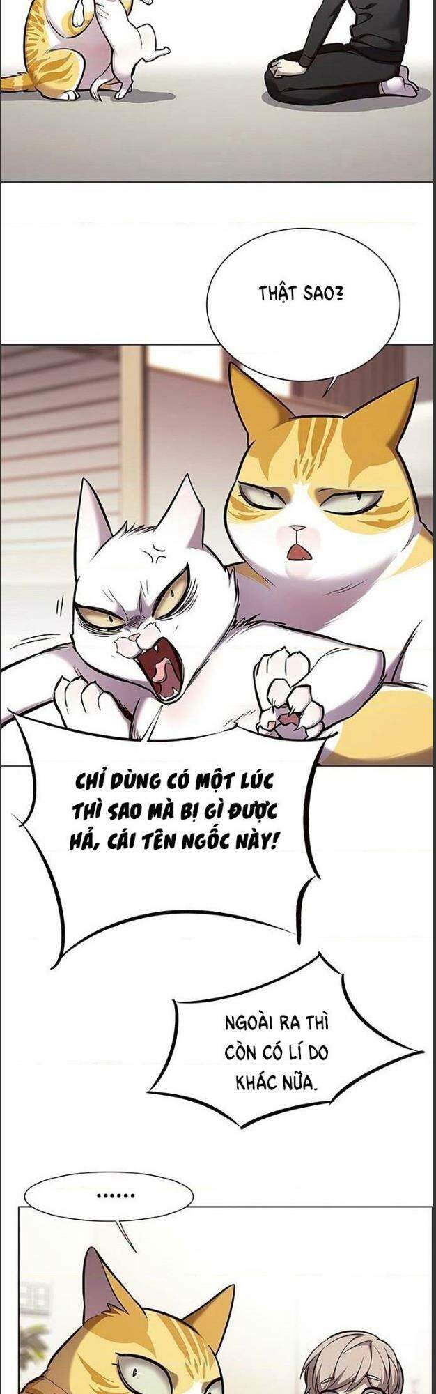 Hoá Thân Thành Mèo Chap 156 - Next Chap 157