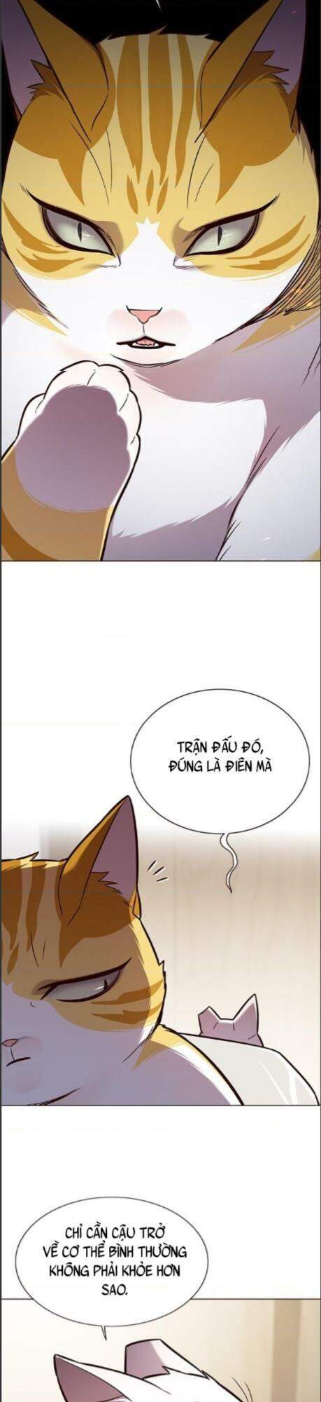 Hoá Thân Thành Mèo Chap 164 - Next Chap 165