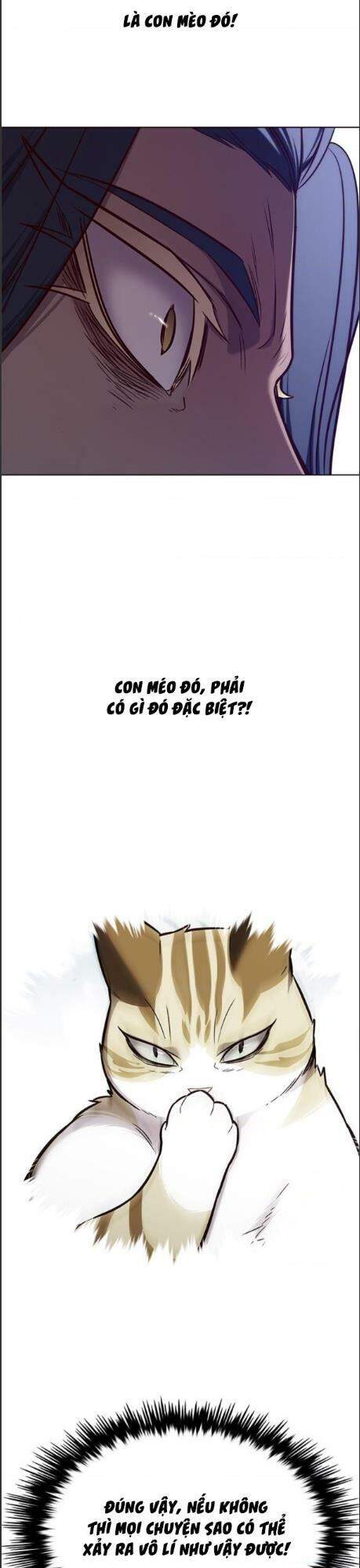 Hoá Thân Thành Mèo Chap 164 - Next Chap 165