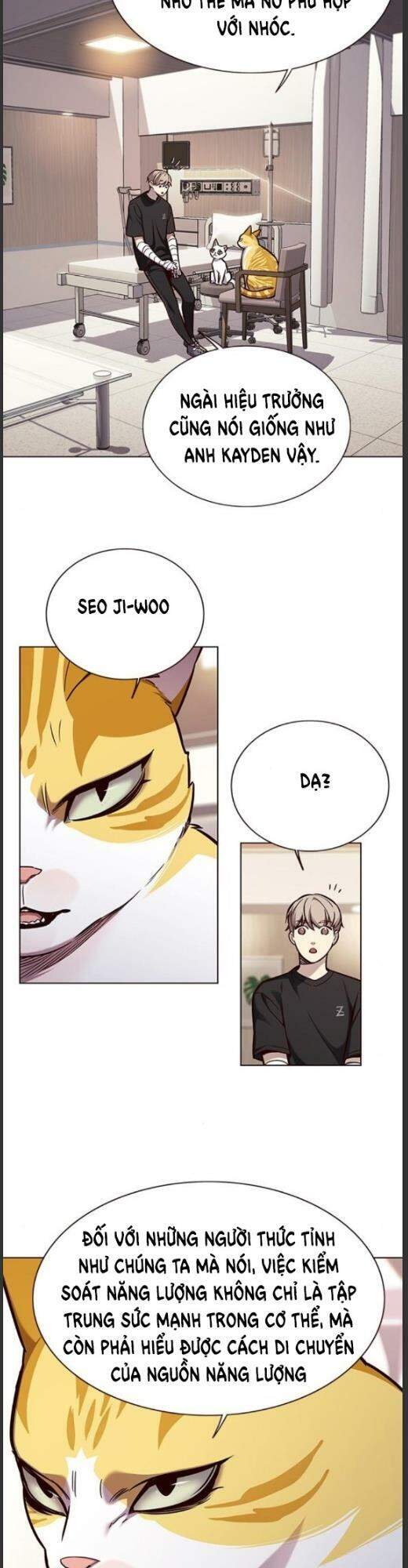 Hoá Thân Thành Mèo Chap 160 - Next Chap 161