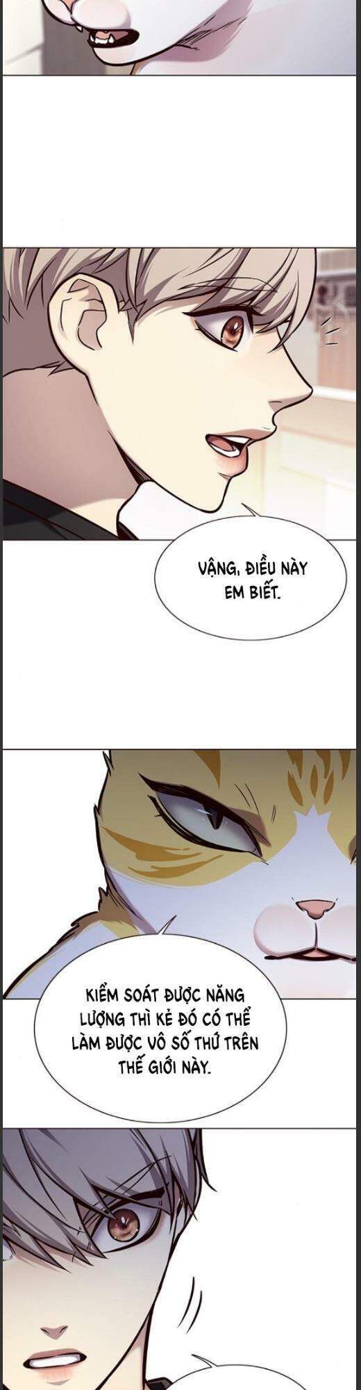 Hoá Thân Thành Mèo Chap 160 - Next Chap 161