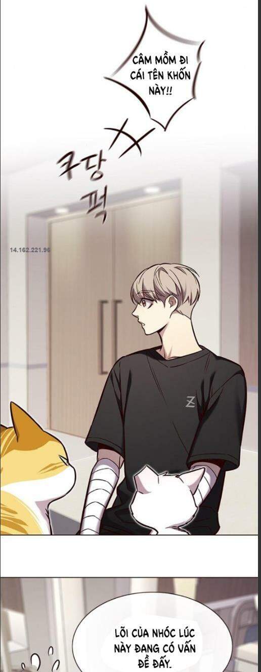 Hoá Thân Thành Mèo Chap 160 - Next Chap 161