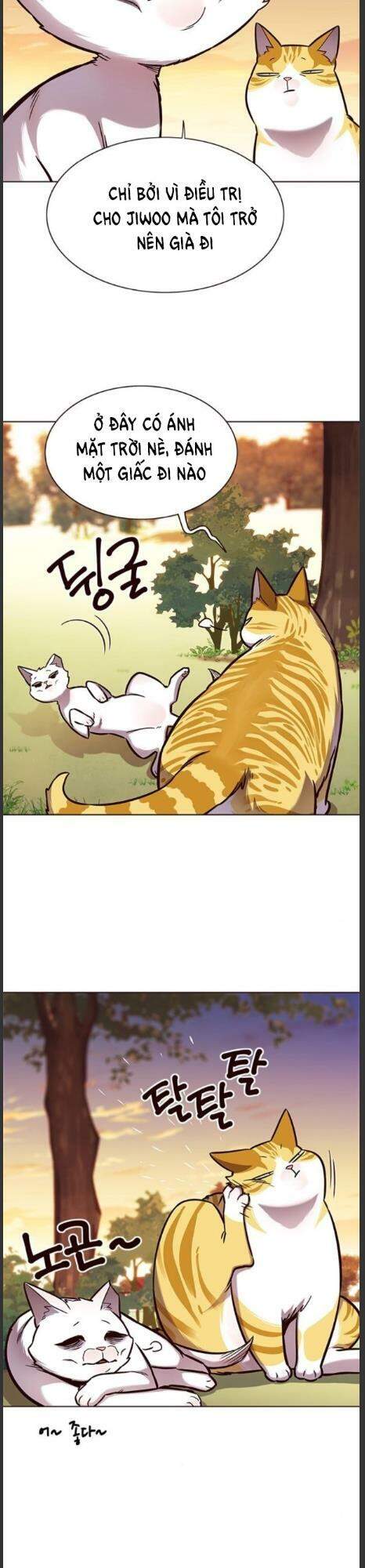 Hoá Thân Thành Mèo Chap 161 - Next Chap 162