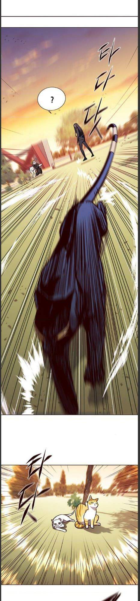 Hoá Thân Thành Mèo Chap 161 - Next Chap 162