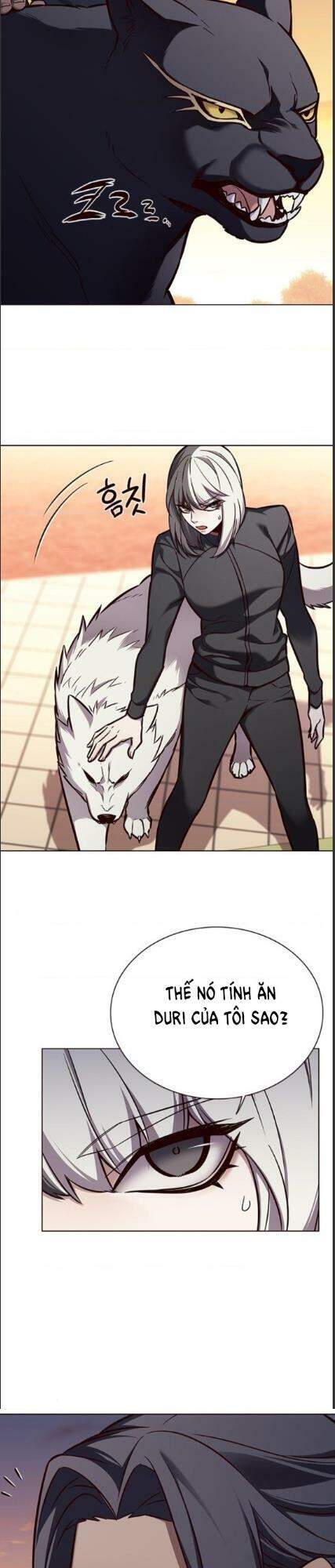 Hoá Thân Thành Mèo Chap 161 - Next Chap 162