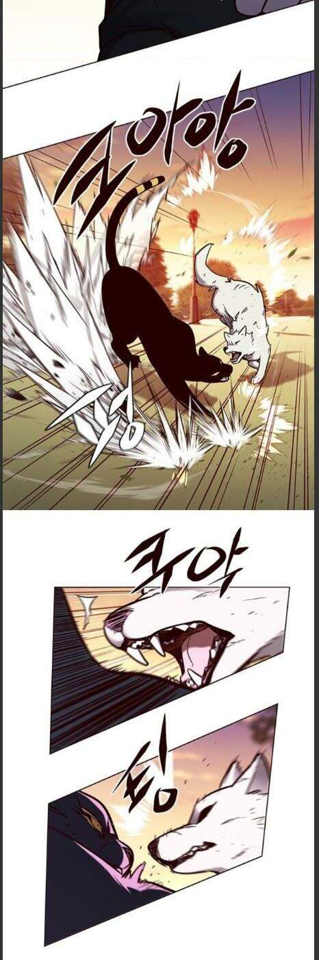 Hoá Thân Thành Mèo Chap 161 - Next Chap 162