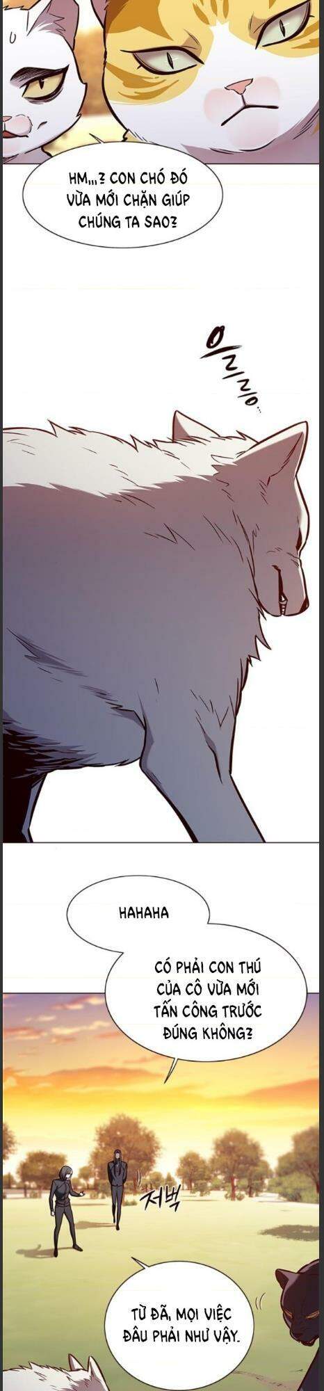 Hoá Thân Thành Mèo Chap 161 - Next Chap 162