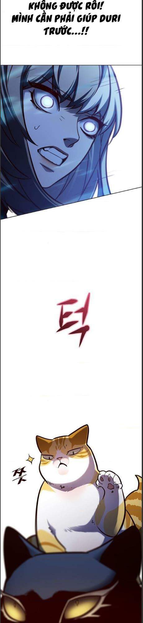 Hoá Thân Thành Mèo Chap 161 - Next Chap 162